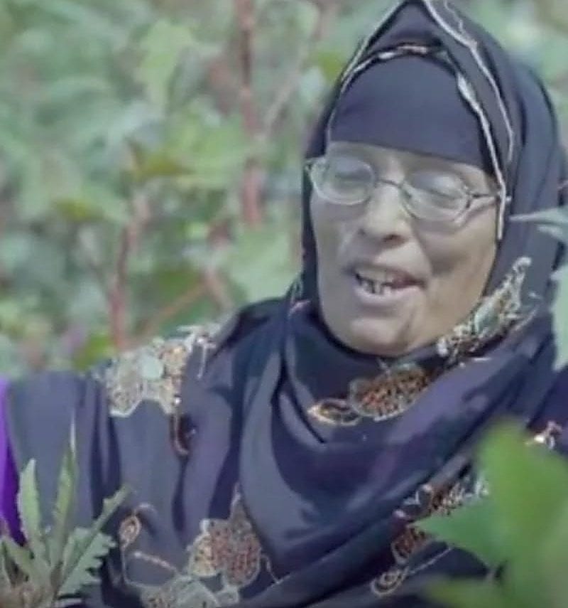 الحاجة نبيلة وصوت التراث الشعبي الذي بلغ الملايين